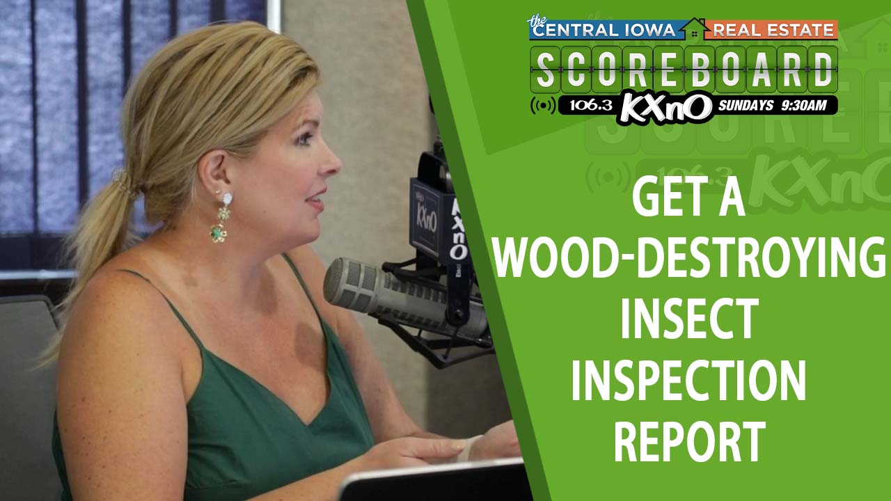 Getting Inspections for Wood-Destroying Insects